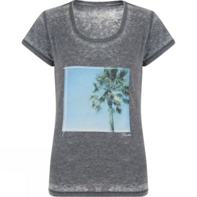 Tee Dare 2 b Poised Mujer Gris - Chile ADT489562